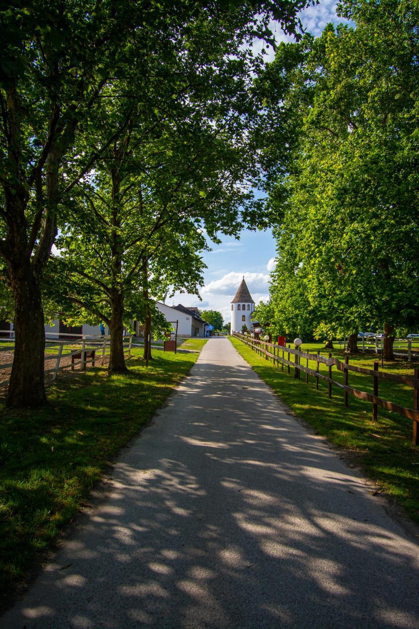 Hotel Villa Majur Суботиця Екстер'єр фото