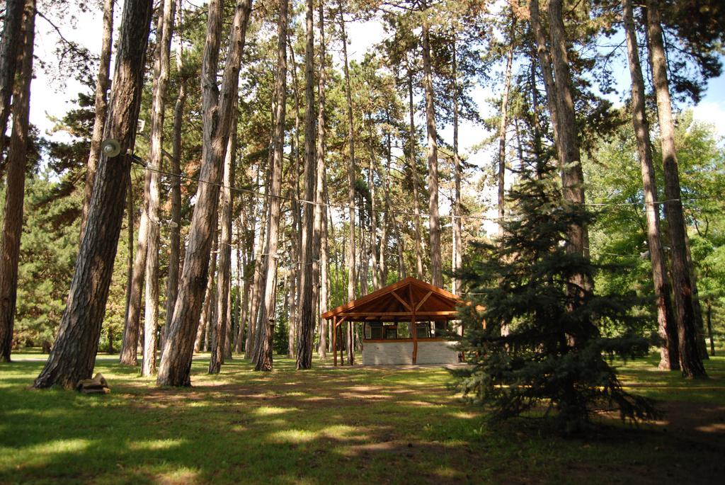 Hotel Villa Majur Суботиця Екстер'єр фото
